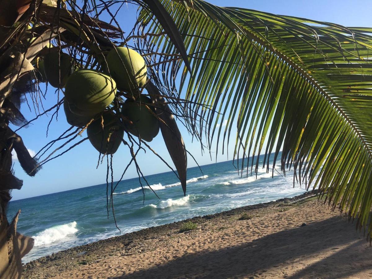 Modern, Welcoming Studio, Ocean View In Juan Dolio Exterior foto